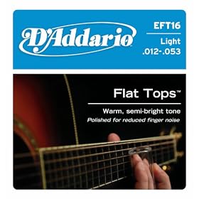 D'Addario EFT16 Flat Tops Phosphor Bronze Acoustic Guitar Strings, Light, 12-53: Musical Instruments
