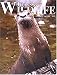 Tennessee Wildlife