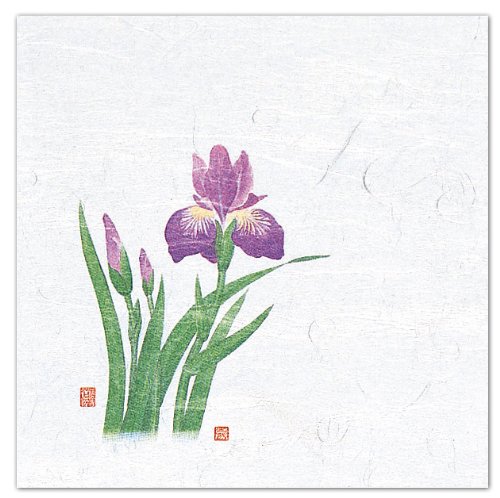 雲竜和紙PP貼合せ 4寸OP懐石敷紙 菖蒲(4月～5月) 100枚 約12x12cm W65112