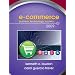 E-Commerce 2009 (5th Edition)