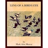 LENS OF A BIRD'S EYE