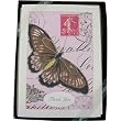 Butterfly on Pink Background Cavallini Boxed Cards and Envelopes, Set of 10 with Vintage Look