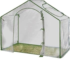 Extra Large 5x5ft Greenhouse Walk in with Window Plastic Cover & Steel Frame