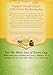 Yogi Tea Kombucha Green Tea 16 ea