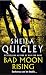 Favourite reads of 2006