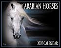 Arabian Horses