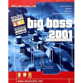 Big Boss 2001