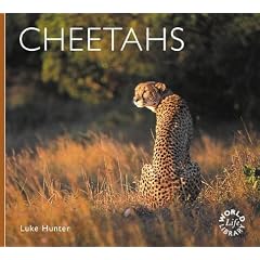 Cheetahs (Worldlife Library)