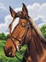 Reeves Junior Paint By Number Set - Horse's Head
