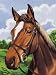 Junior Paint By Number Set Horse's Head