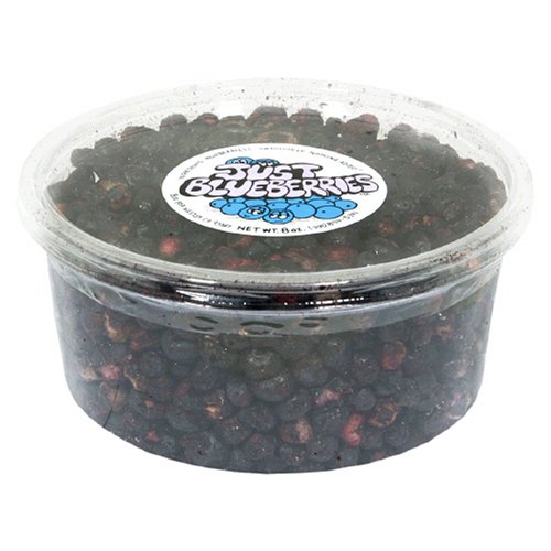 Just Tomatoes Just Blueberries, 8-Ounce Tub by Just Tomatoes