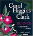 Book Burned (Regan Reilly Mysteries, No. 8)