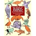 Big Book of Bird Illustrations (Dover pictorial archive series)