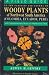A Field Guide to the Families and Genera of Woody Plants of North west South America : (Colombia, Ecuador, Peru) : With Supplementary Notes)