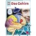 WAS IST WAS, Band 108: Das Gehirn