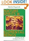 Nature Spirits & Elemental Beings