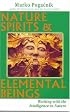 Nature Spirits & Elemental Beings