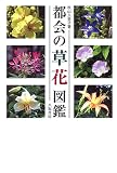 都会の草花図鑑