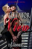 Elevator With a View (Cruise Liner Adventure Series)