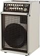 SWR California Blonde II Acoustic Instrument Amp