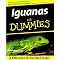 Own an Iguana