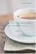The Tea Companion (Connoisseur's Guides)