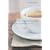 The Tea Companion (Connoisseur's Guides)