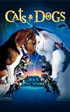 Cats and Dogs