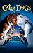 Search : Cats and Dogs
