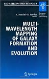 Multiwavelength Mapping of Galaxy Formation and Evolution: Proceedings of the ESO Workshop Held at Venice, Italy, 13-16 October 2003 (ESO Astrophysics Symposia)