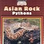 Asian Rock Pythons (World's Largest Snakes)