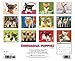 Just Chihuahua Puppies 2015 Wall Calendar