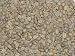 Colombian Supremo Green Coffee Beans - 5lbs