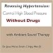 Reversing Hypertension: Control High Blood Pressure Without Drugs with Ambient Sound Therapy