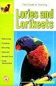 Guide to Owning Lories and Lorikeets