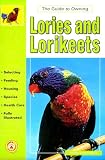 Guide to Owning Lories and Lorikeets
