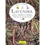 Lavendel