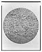 Historic Print (L): White blood corpuscles, exhibiting amoeboid movements in the external coat of a small ve