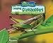 Book Leaping Grasshoppers (No Backbone! the World of Invertebrates)