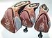 Sporting Goods : Ping G10 Driver, 3 and 5 Wood Head Cover set