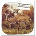 Hautman Wildlife Pot Holder