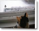 Hello Friend Canvas Print / Canvas Art - Artist Kristine Nora