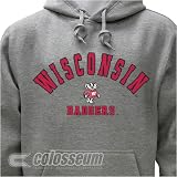 Wisconsin Badgers Colosseum Ash Hoodie