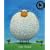 Marvin Wanted More (Bloomsbury Paperbacks)