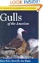 Peterson Reference Guides: Gulls of the Americas