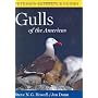 Peterson Reference Guides: Gulls of the Americas by Jon Dunn