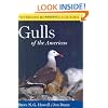 Peterson Reference Guides to Gulls of the Americas