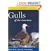 Peterson Reference Guides to Gulls of the Americas