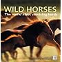 Wild Horses: The World's Last Surviving Herds