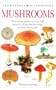 Mushrooms: The Visual Guide to More than 500 Species of Mushroom From Around the World (Eyewitness Handbooks)